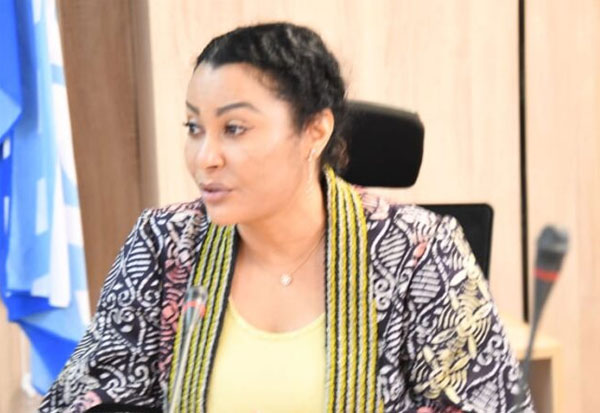 diaspora investment fund