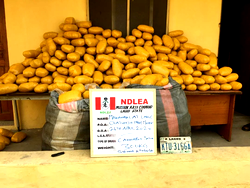 NDLEA nabs man carrying 4,000 tramadol pills in Lagos airport