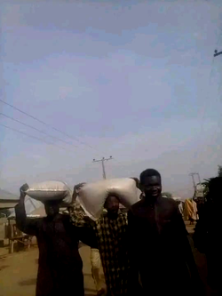 Photos: Residents loot rice from Kebbi govt’s palliatives warehouse