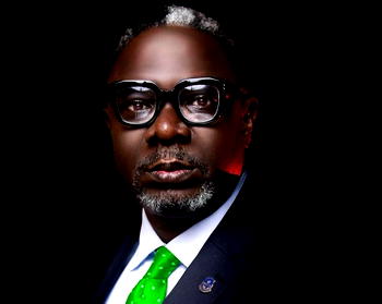 NIESV gets second vice president