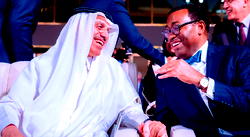 Adesina re-affirms AfDB’s transformative high 5 priorities