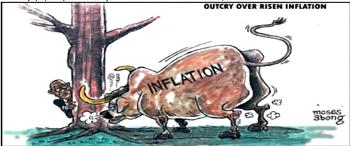 Cartoon: How did Aboki control this cow’s diet?