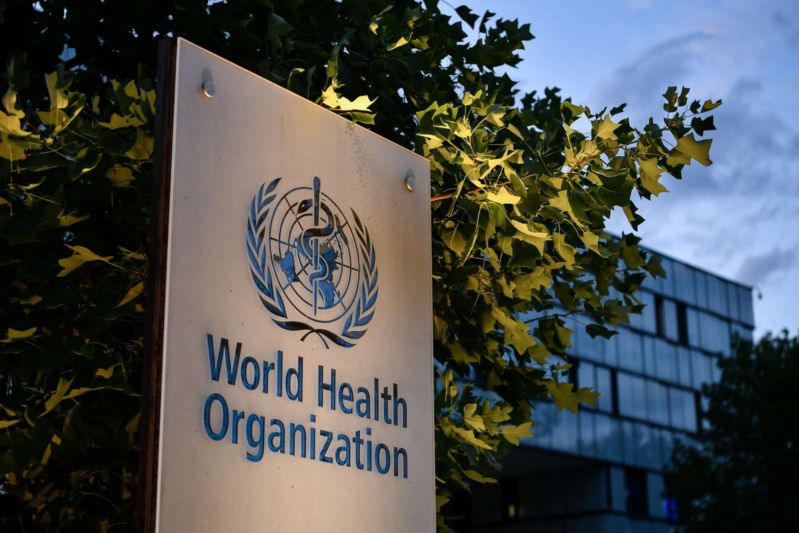 Health Organisation