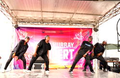 Why Korean Centre is planning K-Pop,Afrobeats collaboration- Ezeonyeasi