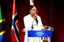Clean Cooking: Sahara Group advocates investment in LPG infrastructure across Africa