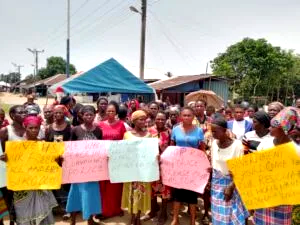 Alleged police brutality: Women protest in Imo