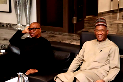 2027: Baba-Ahmed faults Obi leadership, says north unlikely to back him, Kwankwaso