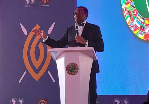 GDP not enough to measure economic growth – AfDB