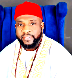 One year anniversary: Oborevwori’s performance not surprising – Iwebunor