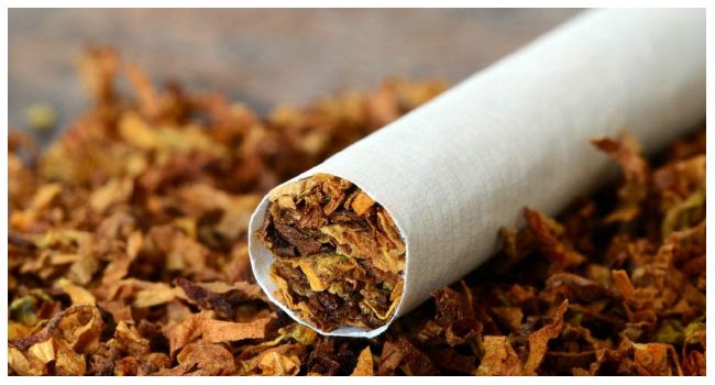 Tobacco