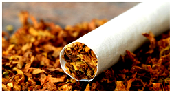 Beyond the smoke: The case for tobacco harm reduction in Nigeria
