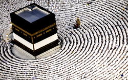 Muslim pilgrims pray on Mount Arafat in hajj climax