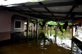 Death toll in South Africa floods rises to 67