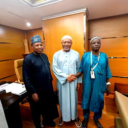 Another Nigerian pilgrim returns lost €1,750 pounds in Hajj