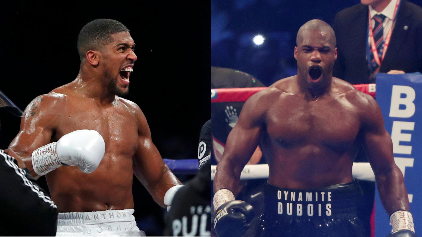 Joshua to fight Dubois for IBF title vacated by Usyk