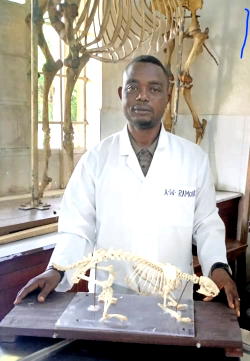 Why technological skills are paramount to anatomy education – Expert