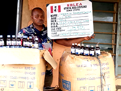 NDLEA intercepts shipment of USA, UK-bound Opioids in Ladies hairs
