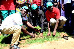 FG seeks stakeholders support to tackle climate change