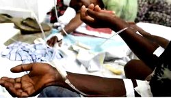 Cholera: Lagos confirms 15 deaths, 350 suspected cases in 29 wards