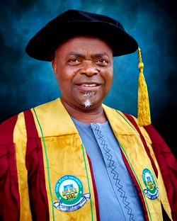 Politicians adopt ‘stomach infrastructure’, to win election – Don