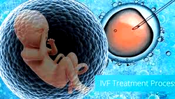 Travails of young girls who sell/donate human eggs to infertile women