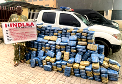 NDLEA nabs 2 suspects in Edo, arrests 76-year-old grandpa with 340kg drugs in Abuja