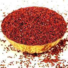 3 affordable protein foods to consider as price of beans soars