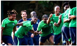 AFCON 2023 $4m prize money: Super Eagles, NFF disagree on sharing formula 