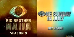 5 things to know ahead of BBNaija season 9 starting Sunday