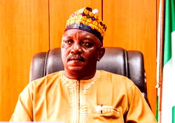 Court convicts ex-power minister Mamman of N33.8bn fraud