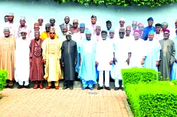 Tinubu tasks livestock reforms committee on agricultural productivity