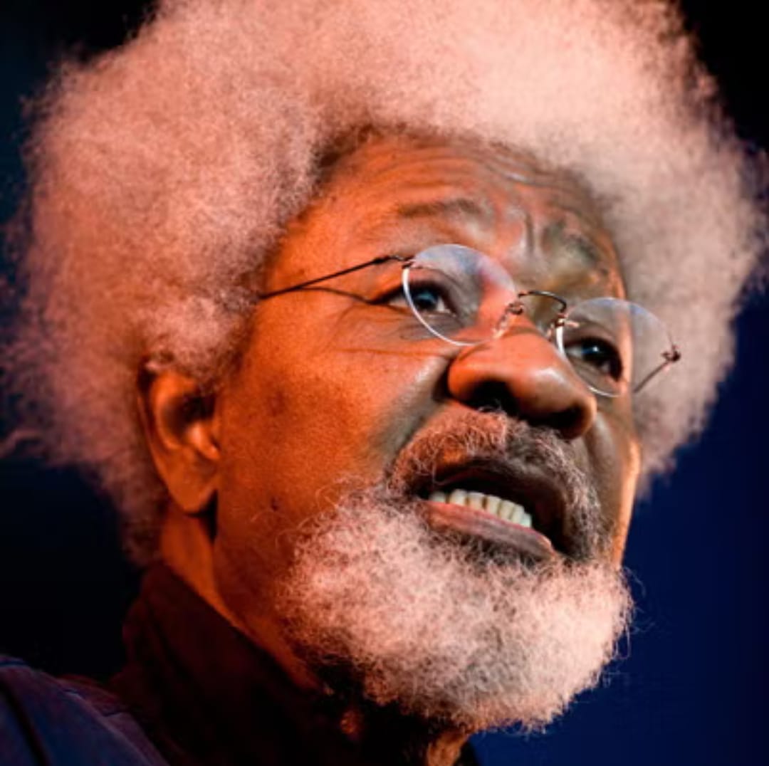 Soyinka thrives on controversy – Razinat quotes Niyi Osundare