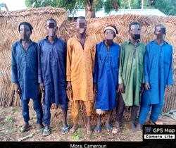 Another 263 Boko Haram terrorists surrender