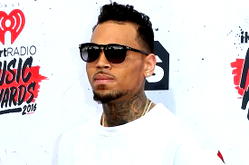 Singer Chris Brown ordered to pay housekeeper $13m after dog attack