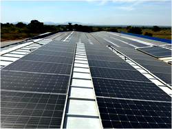 Nigeria joins global shift towards carbon markets to combat climate change