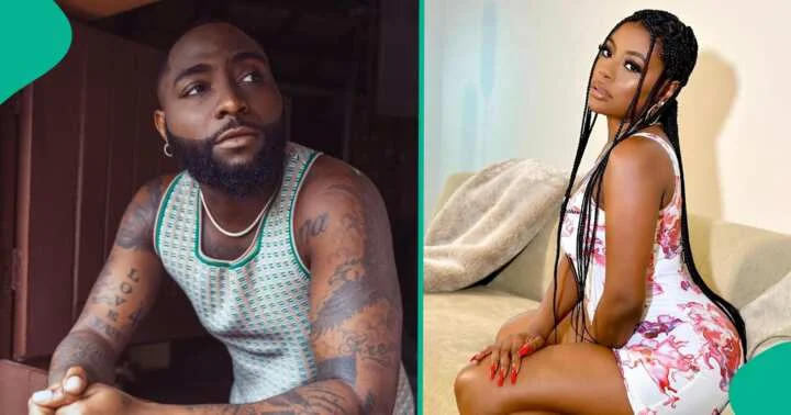 All I want is joint custody of our daughter, Davido replies Sophia Momodu