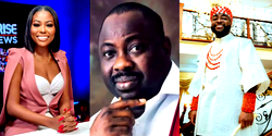 Dele Momodu speaks on Davido’s child custody battle with Sophia