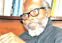 Return of suicide bombers: Boko Haram, ISWAP exploiting weaknesses in intelligence system— Gen Ishola Williams