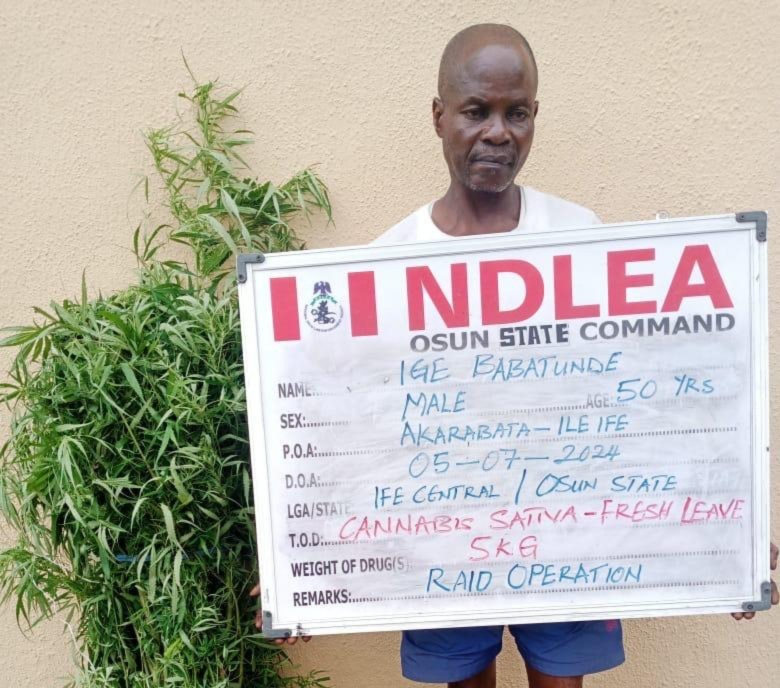 NDLEA nabs Osun traditional ruler, Chadian, corps member for drugs