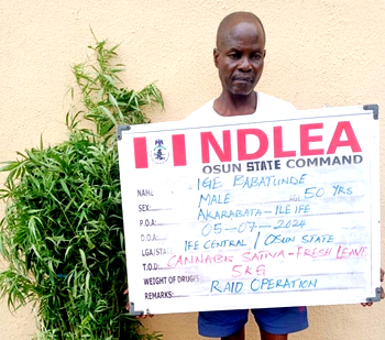 NDLEA nabs Osun traditional ruler, Chadian, corps member for drugs