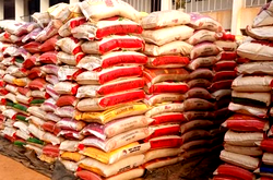 We’re yet to receive FG’s rice, citizens in Kaduna, Kano, Katsina lament