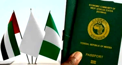 Nigeria, UAE jointly waive off tariffs on some products