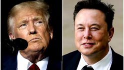 Elon Musk to reduce work for Trump as Tesla reports 71% drop in profits