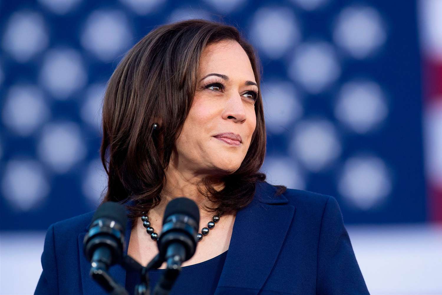 Kamala Harris vows to win nomination, 'defeat Donald Trump' - Vanguard News