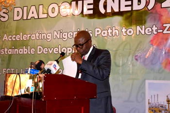 NED2024: Nigeria intensifies efforts to combat gas flaring 