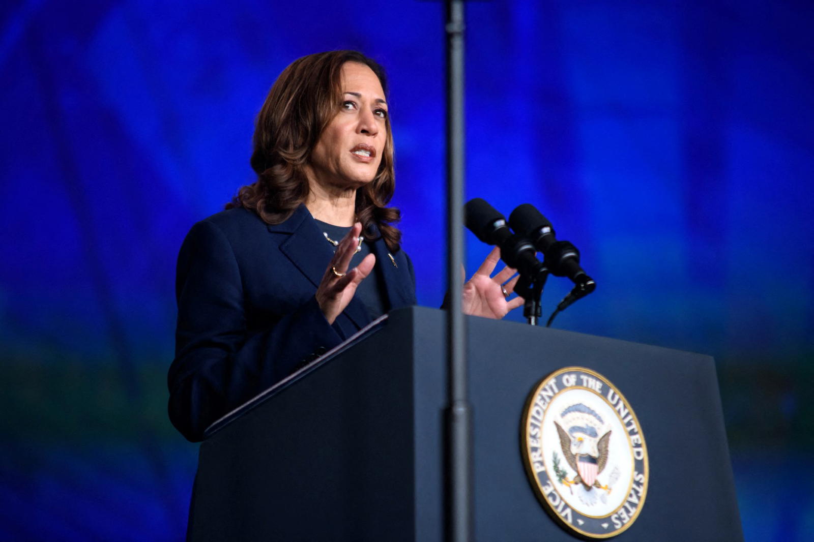 Democrats vote to nominate Harris amid Trump race remark outrage