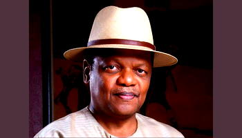 Atedo Peterside lends voice to anonymous critique of Supreme Court’s LG autonomy ruling