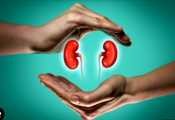 8 foods, drinks that can silently harm your kidneys