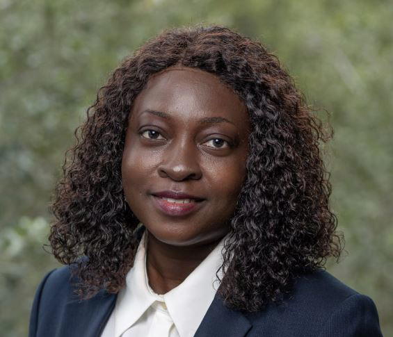 How Oluwafunmilayo Gboyesola Erinle is Transforming the Global Energy Landscape