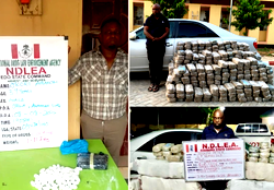 NDLEA nabs cocaine syndicates, recovers multi-billion-naira drugs in nationwide raids